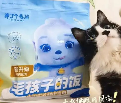 口粮！三只松鼠靠什么重返宠物食品赛道不朽情缘mg网址零食巨头盯上毛孩子(图1)