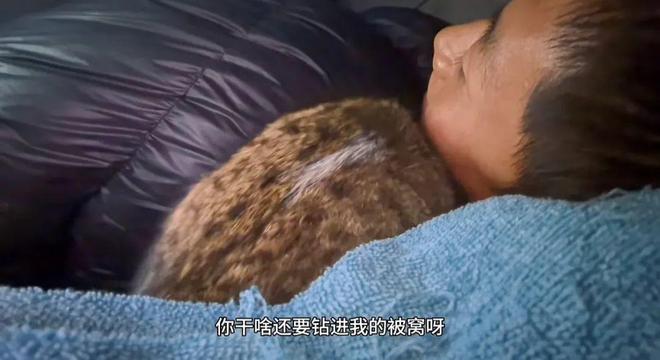：主人赵朔公开去世细节可能死于投毒！不朽情缘游戏平台网红小猫“悟空”去世(图7)
