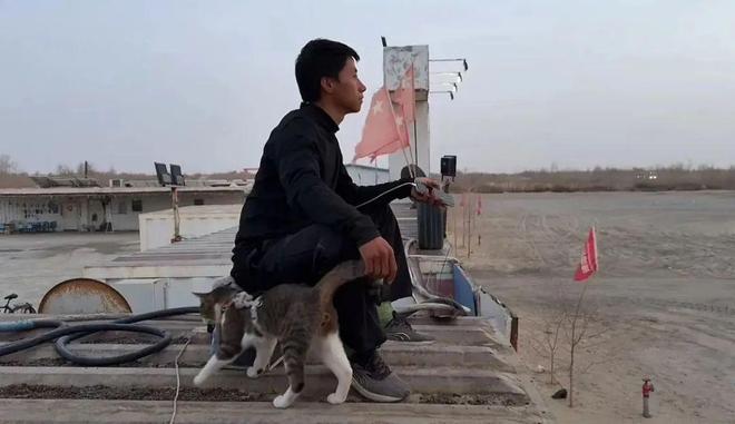 ：主人赵朔公开去世细节可能死于投毒！不朽情缘游戏平台网红小猫“悟空”去世(图2)