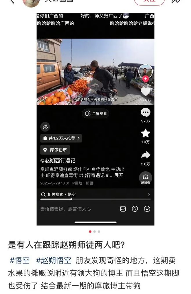 ：主人赵朔公开去世细节可能死于投毒！不朽情缘游戏平台网红小猫“悟空”去世(图6)