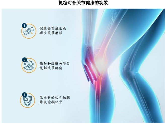 扎根运动健康赛道凭多元布局赢长远未来不朽情缘mgHMB全球龙头技源集团：(图3)