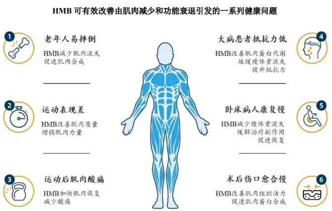 扎根运动健康赛道凭多元布局赢长远未来不朽情缘mgHMB全球龙头技源集团：(图9)