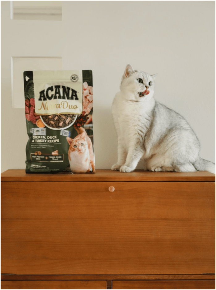 首发“双拼倍护猫粮”巨头的中国战略再提速不朽情缘平台宠物食品新闻:爱肯拿在华全球(图3) 首发“双拼倍护猫粮”巨头的中国战略再提速不朽情缘平台宠物食品新闻:爱肯拿在华全球(图3)