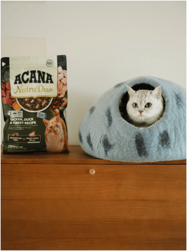 首发“双拼倍护猫粮”巨头的中国战略再提速不朽情缘平台宠物食品新闻:爱肯拿在华全球(图4) 首发“双拼倍护猫粮”巨头的中国战略再提速不朽情缘平台宠物食品新闻:爱肯拿在华全球(图4)