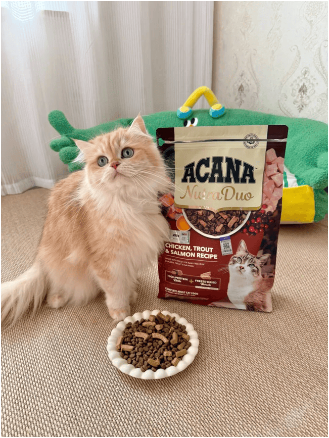 首发“双拼倍护猫粮”巨头的中国战略再提速不朽情缘平台宠物食品新闻:爱肯拿在华全球(图6) 首发“双拼倍护猫粮”巨头的中国战略再提速不朽情缘平台宠物食品新闻:爱肯拿在华全球(图6)